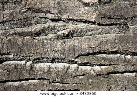 Hires texture di legno