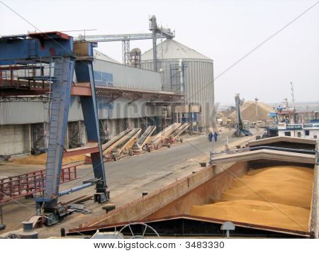 Cantiere navale