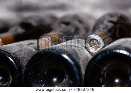 Closeup Dark Dusty Wine Bottles With Old Crumbly Cork. Long Aging, Musty Winery Vault, Rare Ancient 