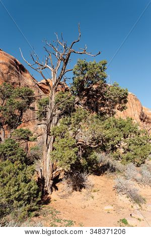 Travel And Tourism Cenes From The Western United States. Red Rock Formations And Dramatic Landscapes