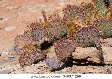 Travel And Tourism Cenes From The Western United States. Red Rock Formations And Dramatic Landscapes