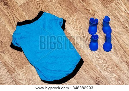 Blue Shoes And Closhes For Dog On Wooden Background