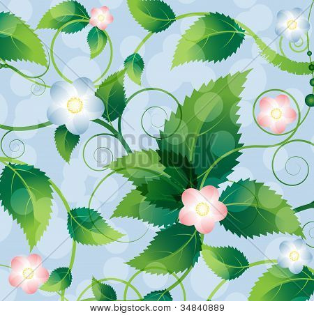 Wildflowers สดใส