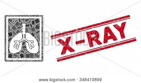 Mosaic Lungs Fluorography Pictogram And Red X-ray Seal Stamp Between Double Parallel Lines. Flat Vec