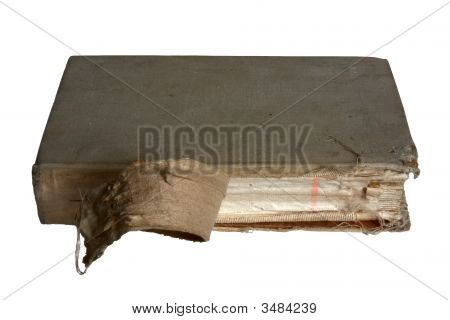 Bog