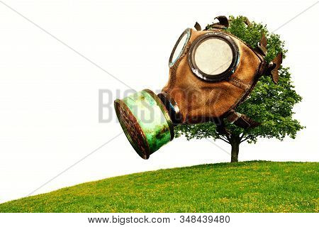 Tree With Gas Mask, Global Warming Due To Air Pollution, Isolated On White Background