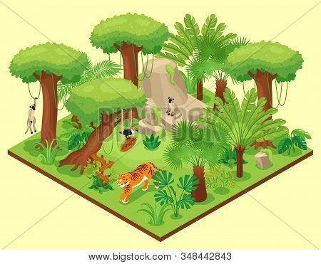 Isometric Jungle Composition With Square Platform With Wild Nature Landscape Tropical Trees Plants A