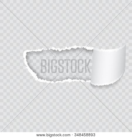 Empty Realistic Torn Paper Scroll And Hole On Transparent Background. Vector Realistic Torn And Twis