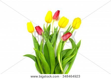 Bouquet Of Yellow And Red Tulips Flat Lay Isolated On White Background. Spring Floral Composition La