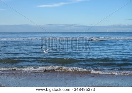 Dutch Landscape, North Sea Sandy Beach During Low Tide Near Castricum Aan Zee, Winter In Netherlands