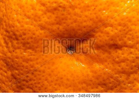 Bright Tangerine Stalk Close-up In The Center. Background