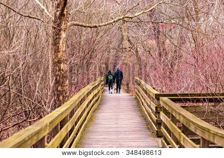 Pittsburgh, Pennsylvania, Usa 2/1/20 A Couple Walking A Dog On A Wooden Walkway In Frick Park On A W