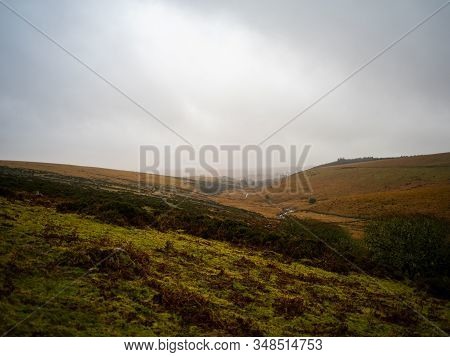 Open Land On A Moor With Heather And Grass