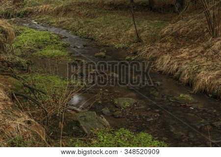 Zvikovsky Creek With Green Grass And Stones Near Velesin Town In South Bohemia