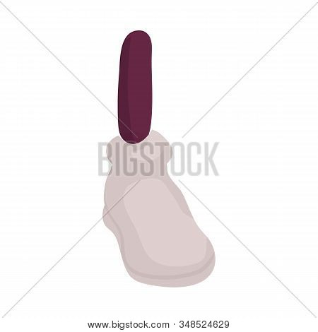 Vector Design Of Foot And Leg Symbol. Web Element Of Foot And Footwear Vector Icon For Stock.