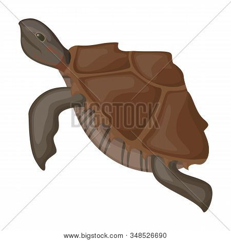 Sea Turtle Vector Icon.cartoon Vector Icon Isolated On White Background Sea Turtle.