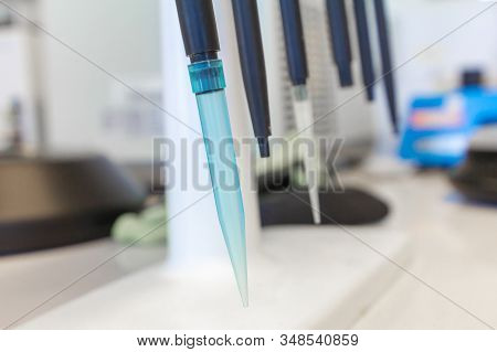 Automatic Pipettes Are On The Holder. Chemical Or Clinical Laboratory Tools.