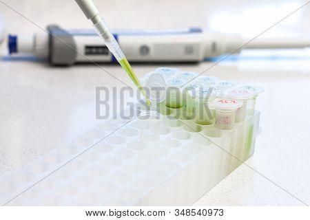 Clinical Laboratory In Process Of Chemical Analysis. Collection Of Probe Using Automatic Pipette.