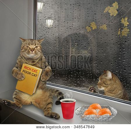 The Tomcat In A Golden Chain Sits On The Windowsill. He Reads A Book Called Rich Cat, Poor Cat.  Cof