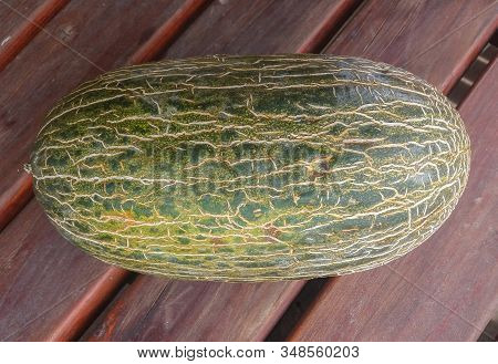 Santa Claus Melon Aka Piel De Sapo (cucumis Melo Inodorus)