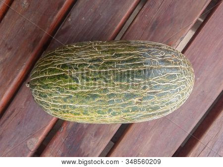 Santa Claus Melon Aka Piel De Sapo (cucumis Melo Inodorus)