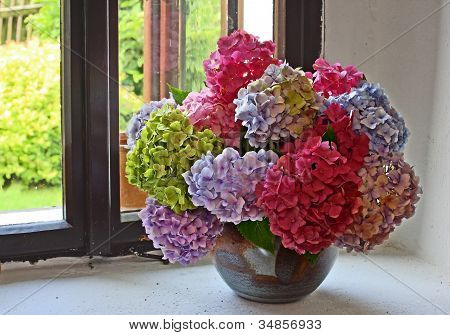 Hydrangea  Bunch