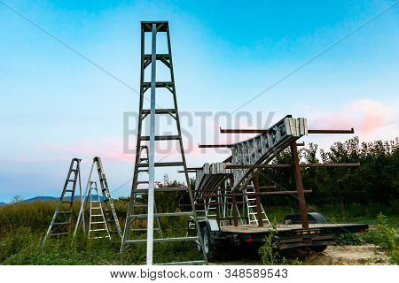 Picking Fruit Ladder At Cherry Orchard In Creston Valley, British Columbia, Canada. Group Of Aluminu