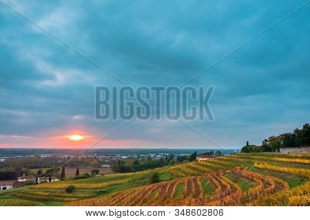 The Sun Goes Down In The Vineyards Of Friuli Venezia-giulia
