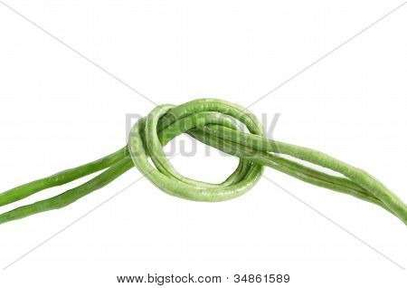 Čínská Yardlong Bean