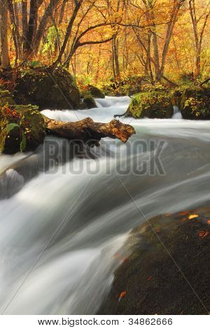 Autumn Colors Of Oirase River