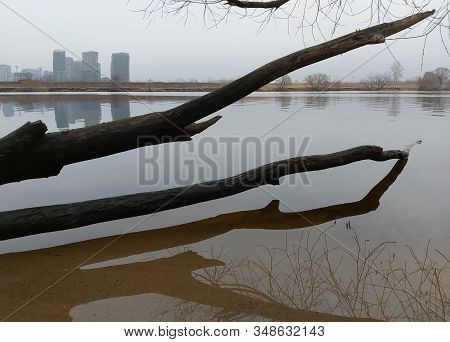 Trunk Of A Fallen Tree Lies In The Water And On The Opposite River Bank There Are City Houses