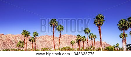 San Jacinto Mountain, Palm Springs, California