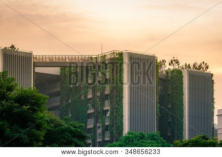 Singapore-october 19, 2019 : Eco Friendly Building With Vertical Garden In Modern City. Green Tree F