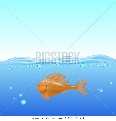 Red Fisn Swims On A Blurred Sea Background.
