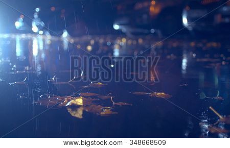 Autumn Rain In The Night City. Close Up Yellow Maple Leaves Lie In A Puddle On The Sidewalk. Raindro