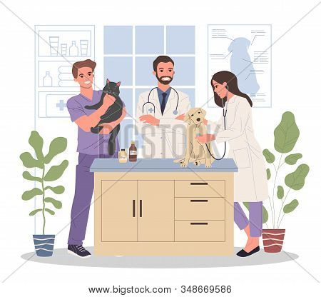 Veterinary Office Vector Illustration. Happy Friendly Pets Doctors Examining Cat And Dog. Veterinari