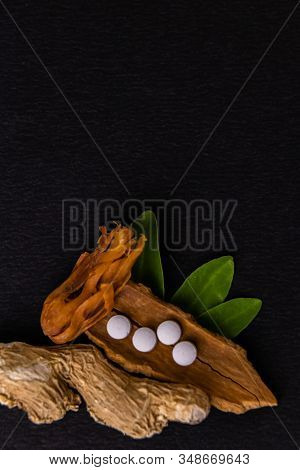 Close-up Of Cinnamon, Dry Ginger, Mace(javitri) And Ayurvedic Medicine With Green Leaves On Black Ba