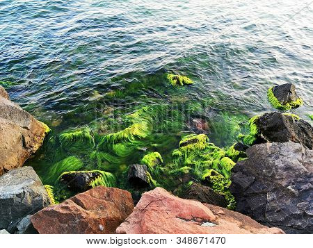 Beautiful Bulgarian Black Sea In Ravda Village