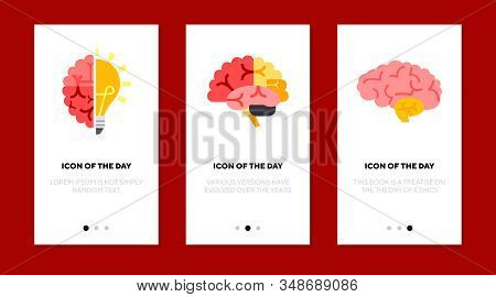 Brain Flat Icon Set. Shining Lightbulb, Pituitary Gland, Hemisphere, Cerebellum Isolated Sign Pack. 