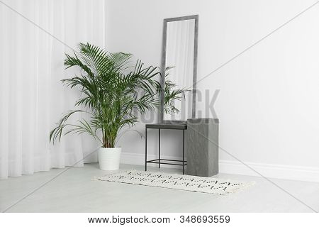 Modern Interior With Large Mirror And Beautiful Plant Near White Wall