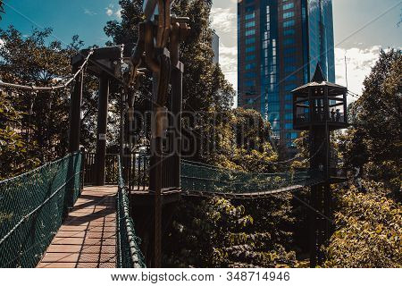 Eco Park Among Kuala Lumpur Concrete Jungle. Suspension Bridge. Travel To Malaysia. Healthy Leisure 