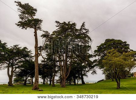 Sutro Heights Park In San Francisco, California, On A Rainy Day