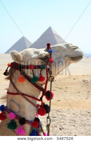 Pyramide de Gizeh