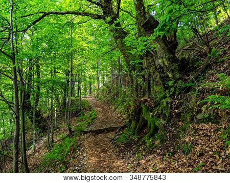 Hiking Trail In Val Grande National Park, Piedmont, Italy