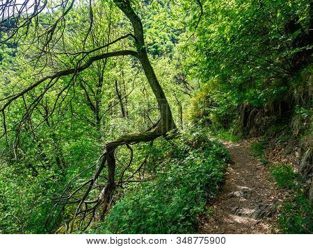 Hiking Trail From Cicogna To Pogallo In Val Grande National Park, Piedmont, Italy