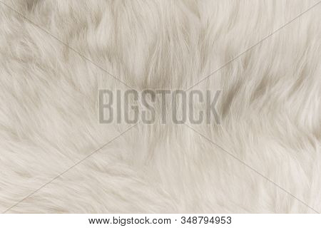 White Flufy Textile Close-up. Faux Fur Background.