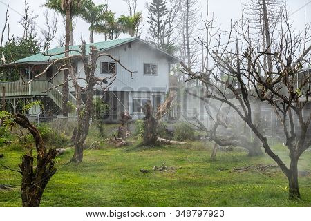Leilani Estate, Hawaii, Usa. - January 14, 2020: Devastation In Parts Untouched By 2018 Lava. Dead T