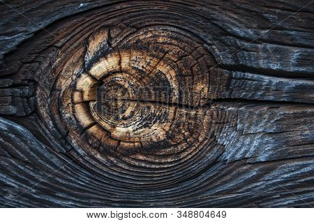 Bright Natural Wood Knot Detail In Brown Texture. Abstract Wooden Background. Beautiful Ancient Roug