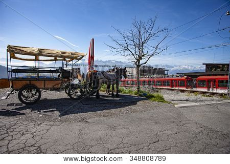 Landscape, Rigi Kaltbad, Switzerland With Horse And Carriage