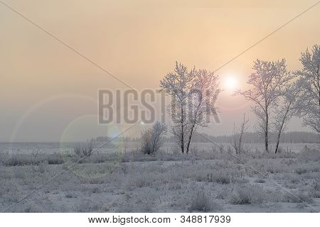 Winter, Frosty, Foggy, Dark And Dreary Landscape, Covered With Snow And Frost Trees, On A Foggy Fiel